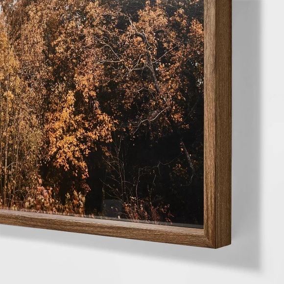 STUDIO MCGEE 36" x 30" Golden Forest Framed Wall Art: Modern Decor, MDF & Glass - Picture 3 of 3